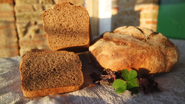 paneintegralealghe1
